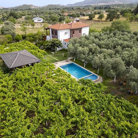 Grape Datca Hotel Kızlanköy Kültér fotó