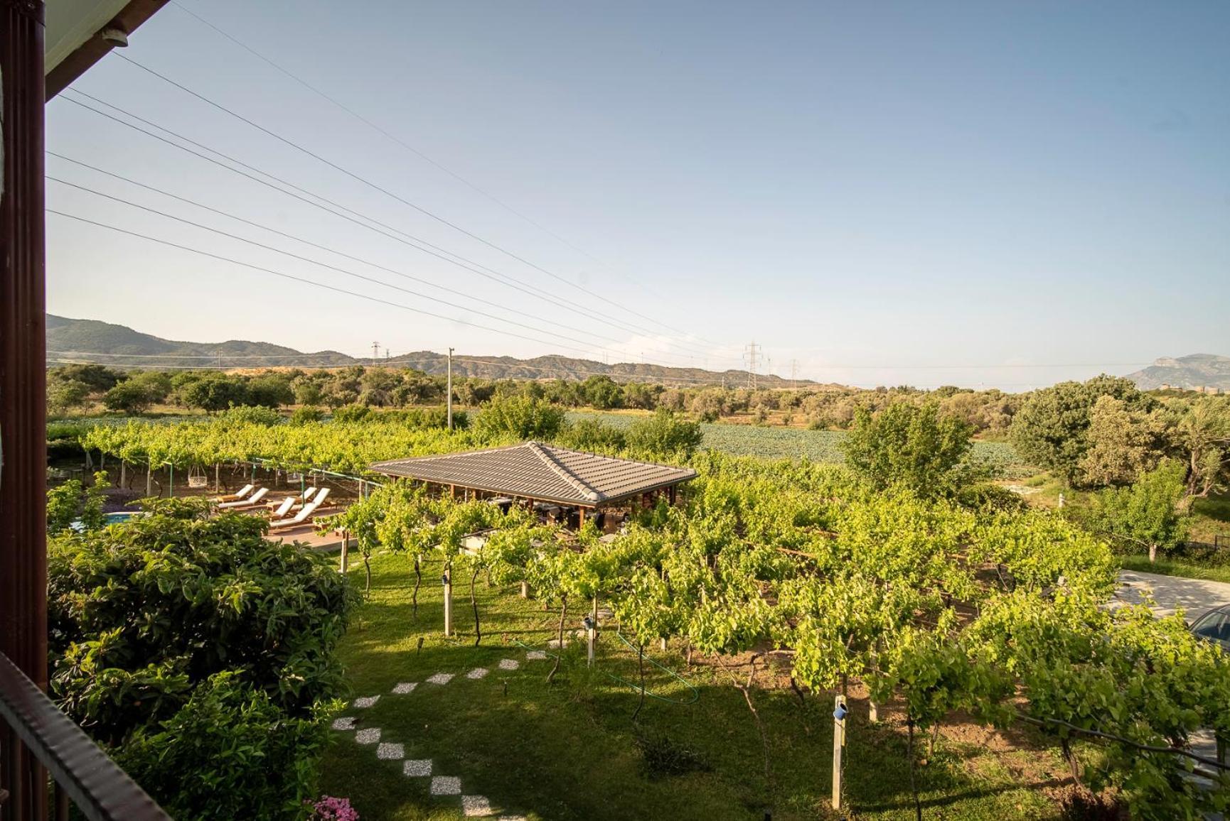Grape Datca Hotel Kızlanköy Kültér fotó